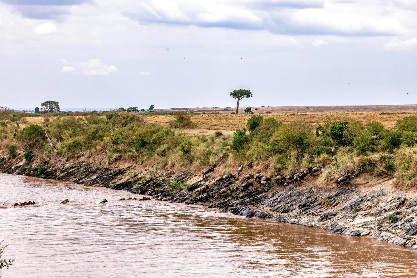 Environmental Education & Conservation